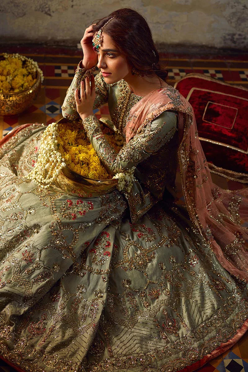 ZAMURD - MNR (FF2411)